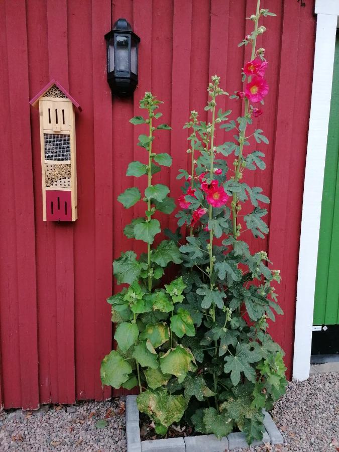 Naturnaera Charmigt Boende Helsingborg Eksteriør billede